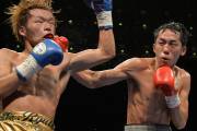 體育組冠軍 Winner, Sports